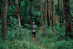 BIB: 
                            <button type="button" onclick="openModal(25237354)" class="btn btn-primary btn-sm float-right btn-popup" data-toggle="modal" data-target=".modal-high-quality">
                        <i class="fas fa-shopping-cart"></i> Add to Cart
                    </button>
                                            <button type="button" onclick="isThisMe(25237354, true)" class="btn btn-success btn-sm float-right btn-popup btn-isme hidden" data-toggle="tooltip" data-placement="bottom" title="นี่คือรูปของคุณใช่ไหม คลิกที่นี่เพื่อเอาเข้าอัลบั้ม">
                        <i class="fas fa-plus"></i> Add to album
                    </button>
                    <button type="button" onclick="isThisMe(25237354, false)" class="btn btn-warning btn-sm float-right btn-popup btn-isnotme hidden">
                        <i class="fas fa-ban"></i> Remove from album
                    </button>